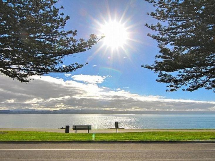 Beach House Studios Napier Buitenkant foto